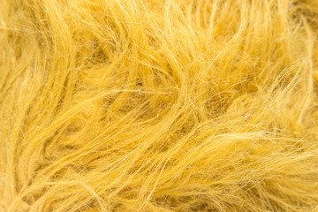 Obraz premium Yellow soft natural animal wool texture background. Skin wool. Close-up texture of white fluffy fur. Red plush