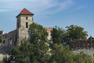 Fototapeta na wymiar Ruins of the medieval Tenczyn castle, Poland
