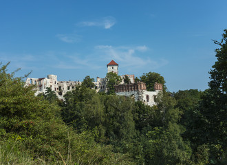 Fototapeta premium Ruins of the medieval Tenczyn castle, Poland