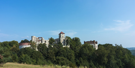Fototapeta na wymiar Ruins of the medieval Tenczyn castle, Poland