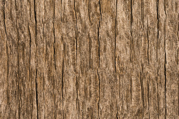 Wood texture abstract pattern