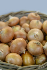 Yellow, ripe onions in a basket.