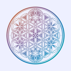 Flower of Life - intersecting circles forming.