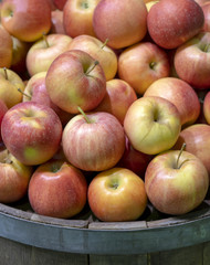 Red, ripe apples in a barrel.