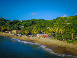 Amazing seabird (aerial) view of a tropical beach, palm trees, blue sky, calm sea, beautiful day