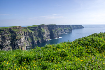 Fototapeta na wymiar Landscape view of Cliffs of Moher with clear day sky. County Clare, Ireland.