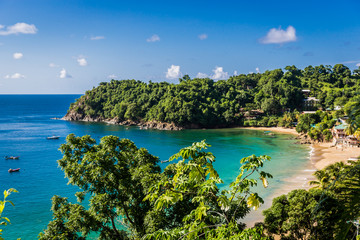 Incroyable plage tropicale à Trinité-et-Tobago, Caraïbes - ciel bleu, arbres, plage de sable