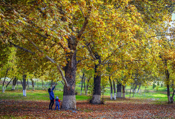 Grandson and grandmother under the canopy of autumn trees in the suburb of Ashgabat, Turkmenistan