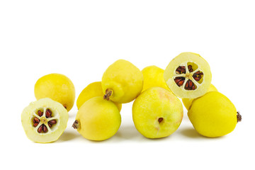 Maules quince (Chaenomeles japonica) isolated on white background