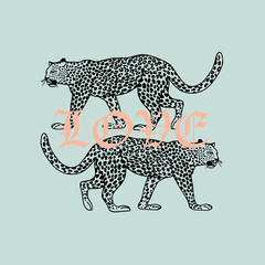 Love slogan. Two leopard. Typography graphic print, fashion drawing for t-shirts. Vector stickers,print, patches vintage