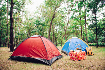 Camping Tent and picnic accessories under tree in morning sunrise.
