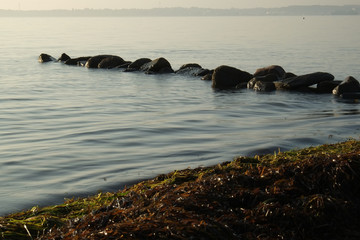 Fototapeta premium Uferbefestigung an der Küste