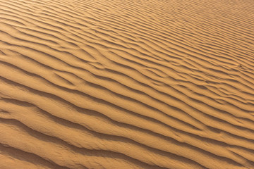The design of the rippling textured sand dunes background in the beautiful sunshine in the United Arab Emirates.