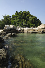 wild tropical island and rocky sea shore under bright sunny day and blue sky background