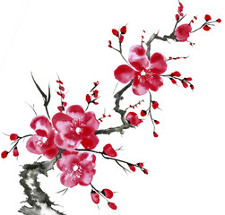 Fototapeta premium A branch of a blossoming tree. Pink and red stylized flowers of plum mei, wild apricots and sakura . Watercolor and ink illustration in style sumi-e, u-sin. Oriental traditional painting.