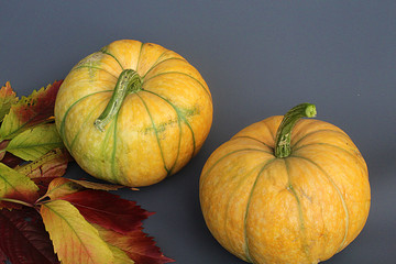 Vibrant Orange Pumpkin Chestnuts Dry Autumn Leaves Scattered on Grey Stone Background. Border Frame. Thanksgiving Fall Abundance Concept. Flat Lay. Copy Space