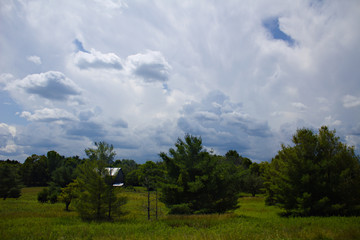 Summer Landscape with Bright Blue Skies and Fluffy White Clouds Over Green Grass Field and Deciduous Trees in Front of Old Silver Barn