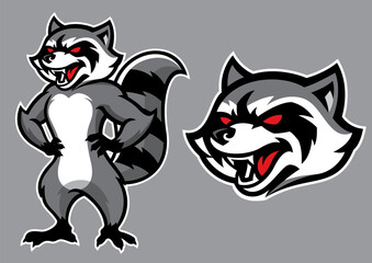racoon mascot in set
