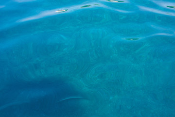 Fototapeta premium Dark Blue Sea