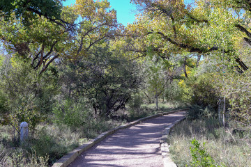 A footpath leads through the forest  in the Rio Grande Nature Center State Park, Albuquerque State Park New Mexico