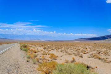 Perspective road, Death Valley, USA