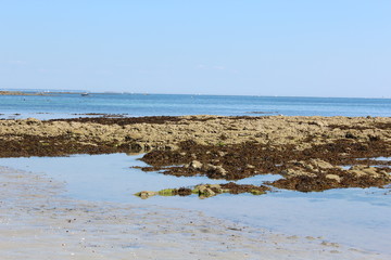 Fototapeta na wymiar les rochers de la marée