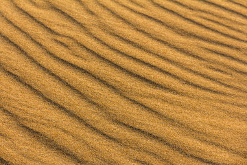 texture desert  sand dunes, barkhans and lines