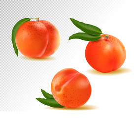 Peach. Sweet fruit. 3d vector icons set. Realistic illustration