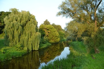 Живописные берега реки Мухавец в окрестностях...