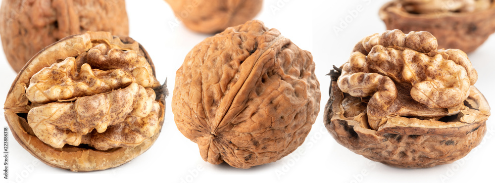 Wall mural large walnuts on white background - Wall murals