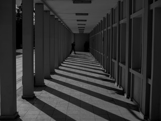 monochrome corridor and columns perspective view