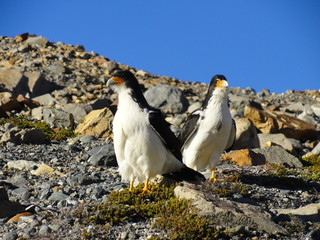 Torres Del Paine
