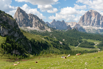 Mountain scene of the Italian Dolomites, near the Giau Pass, on a Summer Afternoon.