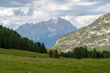 Mountain scene of the Italian Dolomites, near the Giau Pass, on a Summer Afternoon.