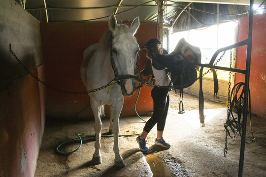ragazzina che sella un cavallo