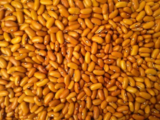 Фасоль Цветная коричневая 