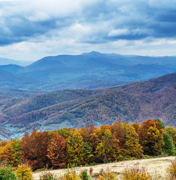 Colorful trees and heavy clouds in the autumn mountains.