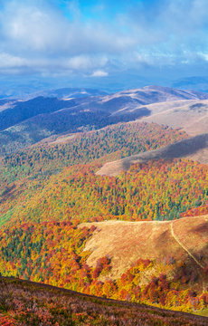 Colorful trees in the autumn mountains.