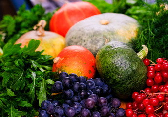Fresh greens, pumpkins, grapes and viburnum