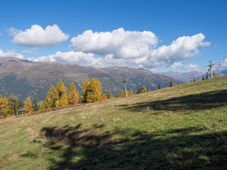 Fototapeta na wymiar Grüne Wiese mit Baumschatten im Herbst vor weissen Wolken, Österreich