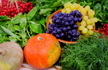 Fototapeta na wymiar Fresh greens, pumpkins, grapes and viburnum