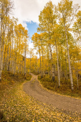 Autumn Back Roads in Colorado