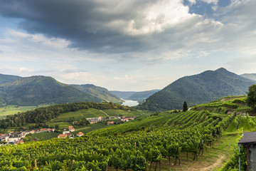 Fototapeta na wymiar Spitz, Austria, View to Danube river in Wachau valley.