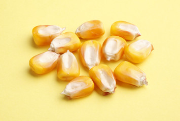 Corn kernels on yellow background