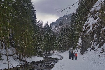 Tatry zimą, cisza i spokój na szlakach turystycznych, zimowy spacer doliną tatrzańską między...