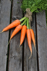 fresh crop of carrots tie beam