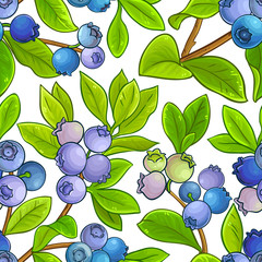 blueberry vector pattern