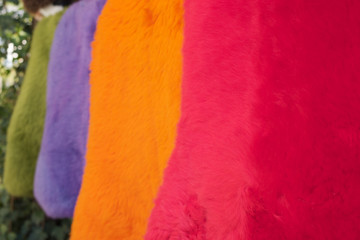 Red, Orange, Mauve aund Green - Bright Colored Fur Background