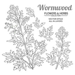 wormwood vector set - obrazy, fototapety, plakaty