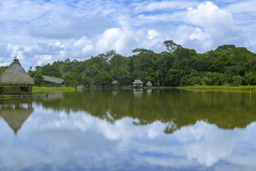 hermoso lago en la selva
